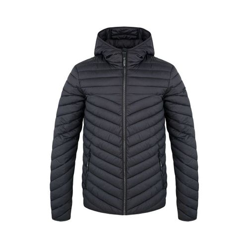 Blouson Loap Jekl - Loap - Modalova