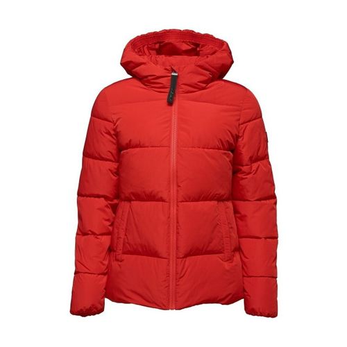 Blouson Loap Tadarida - Loap - Modalova