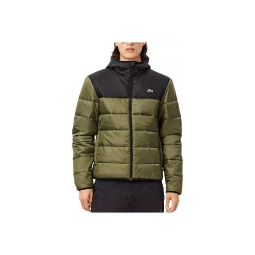 Doudounes Lacoste à capuche Homme - Lacoste - Modalova