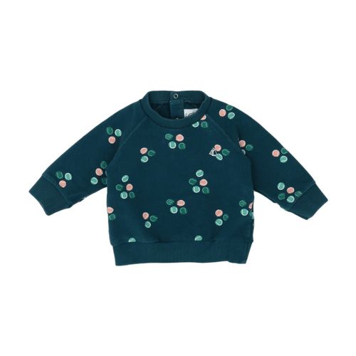 Sweatshirts SWEAT - VERT - Petit Bateau - Modalova