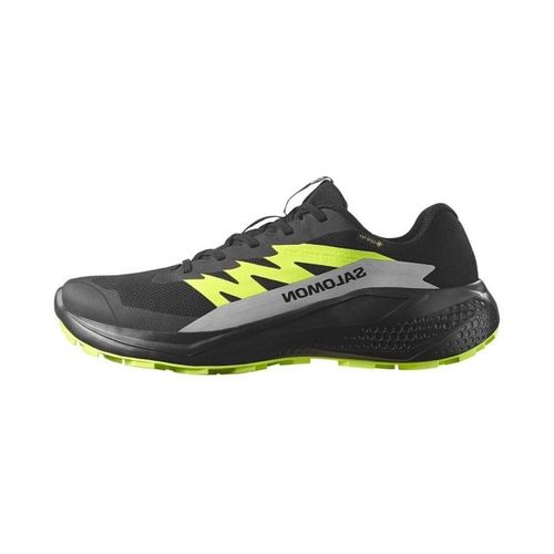 Chaussures Salomon Alphaglide Gtx - Salomon - Modalova