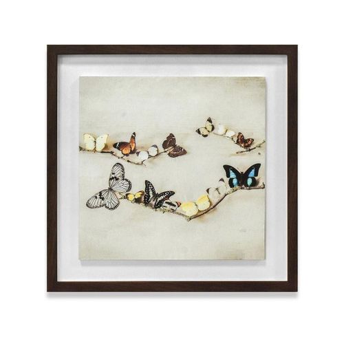 Affiches, posters 40 cm x 40 cm PM11411 - Ian Winstanley - Modalova