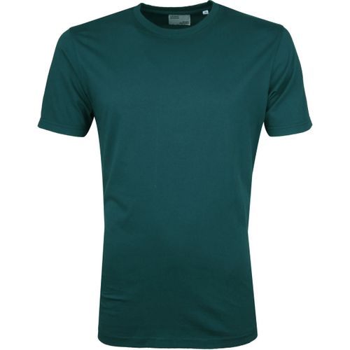T-shirt T-shirt Vert Océan - Colorful Standard - Modalova