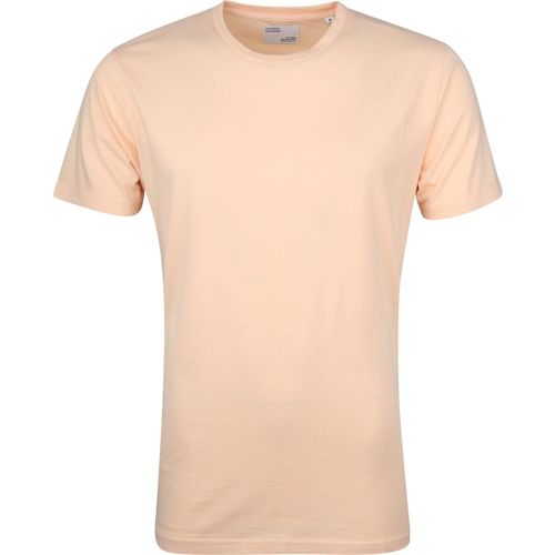 T-shirt T-shirt Paradise Peach - Colorful Standard - Modalova