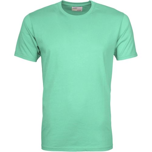 T-shirt T-shirt Menthe Fanée - Colorful Standard - Modalova