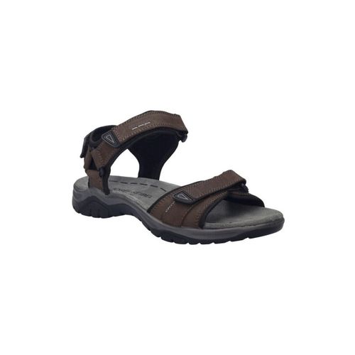 Sandales Josef Seibel Arlo 01 - Josef Seibel - Modalova