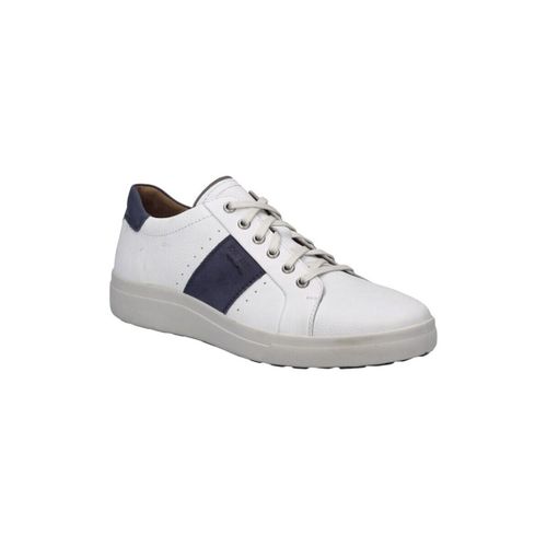 Baskets basses Josef Seibel Maddox - Josef Seibel - Modalova