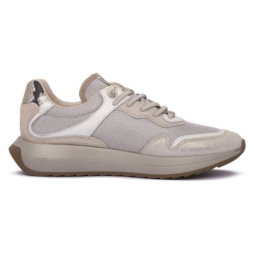 Baskets Cetti SATURNO MESH IVORY - Cetti - Modalova