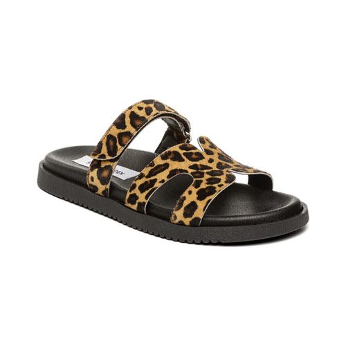 Sandales - Mules MISSILE Léopard - Steve Madden - Modalova