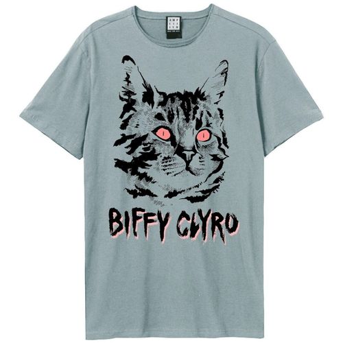 T-shirt Black Cat - Amplified Clothing - Modalova