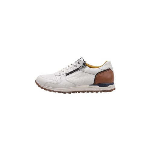 Baskets basses Kangaroos 844 - Kangaroos - Modalova