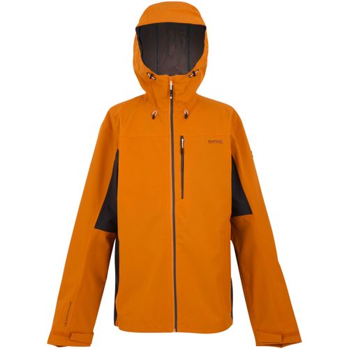 Blouson Regatta Birchdale II - Regatta - Modalova