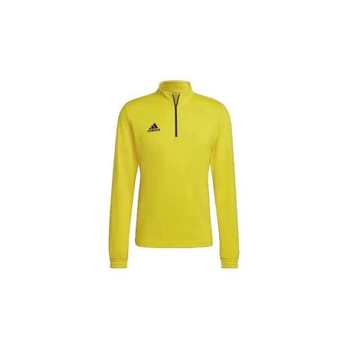 Sweatshirts adidas Entrada 22 - adidas - Modalova