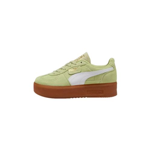 Baskets basses Puma PALERMO ELEVATA - Puma - Modalova