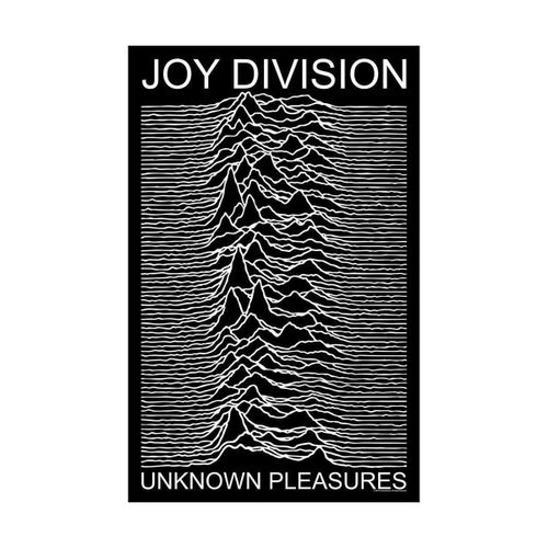 Affiches, posters RO5129 - Joy Division - Modalova
