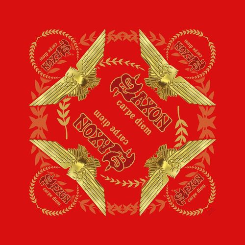 Masques Saxon Carpe Diem - Saxon - Modalova