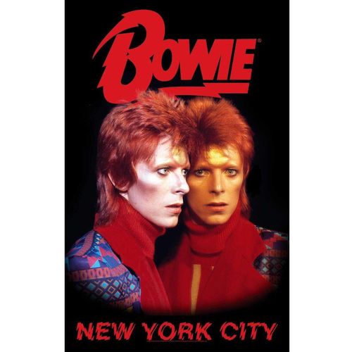 Affiches, posters RO9096 - David Bowie - Modalova