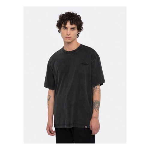 T-shirt PLENTYWOOD TEE - DK0A866BH861-ACID BLACK - Dickies - Modalova