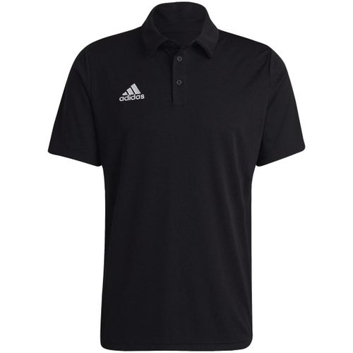 T-shirt adidas Ent22 - adidas - Modalova