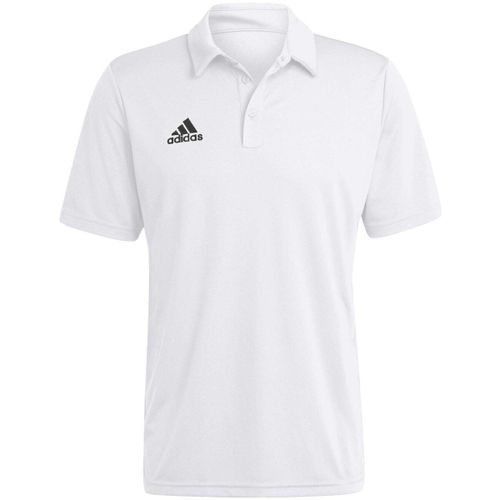T-shirt adidas Ent22 - adidas - Modalova