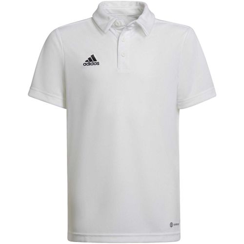 T-shirt adidas Ent22 Y - adidas - Modalova