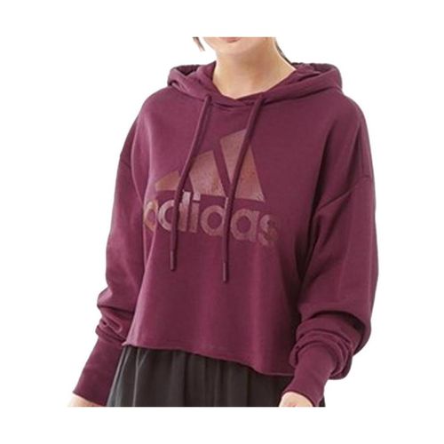 Sweatshirts à capuche adidas Hldy - adidas - Modalova