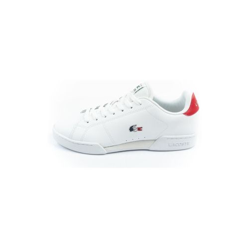 Ville basse Lacoste Carnaby Cup - Lacoste - Modalova