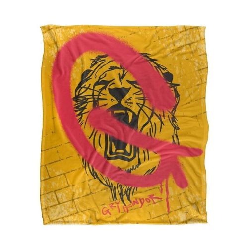 Couvertures 127 cm x 152,4 cm TV19038 - Harry Potter - Modalova