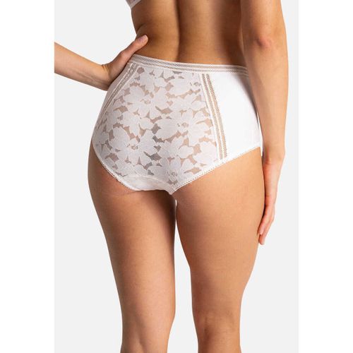 Culottes & slips Culotte taille haute GARDENIA - Passionata - Modalova