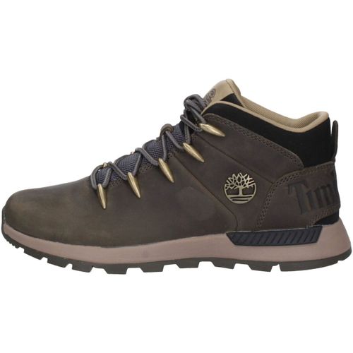 Baskets montantes Timberland - Timberland - Modalova