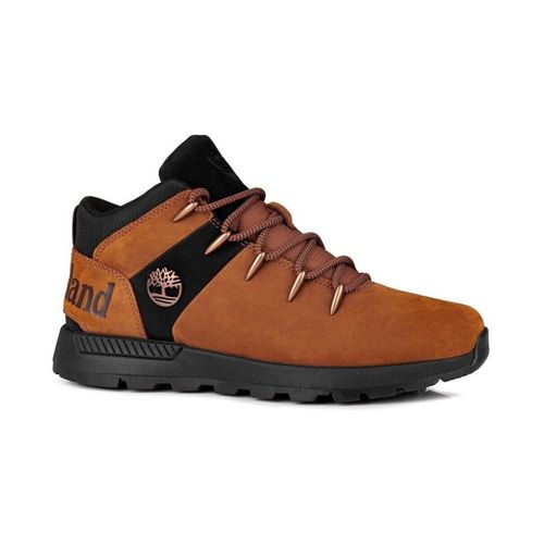 Boots Sprint Trekker Lace Up Rust - Timberland - Modalova