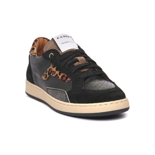 Baskets basses Exton COMBI 5 - Exton - Modalova