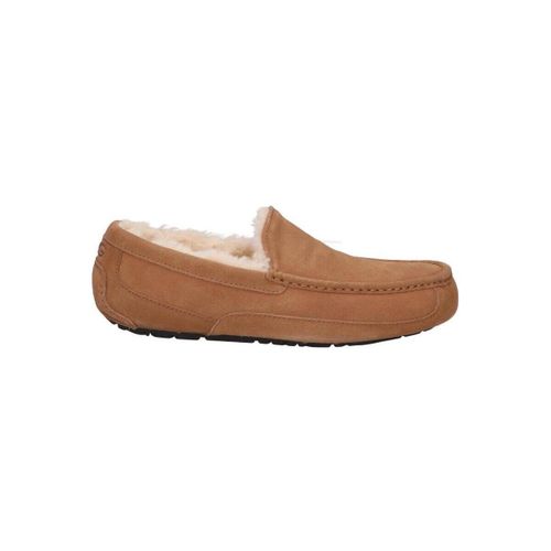 Chaussons UGG 1101110 ASCOT - UGG - Modalova