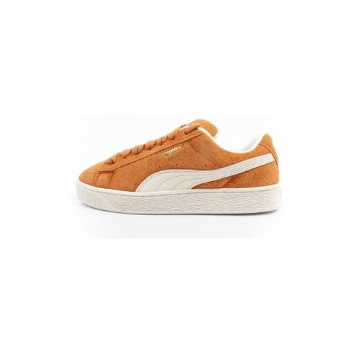 Baskets basses Puma Xl Hairy - Puma - Modalova