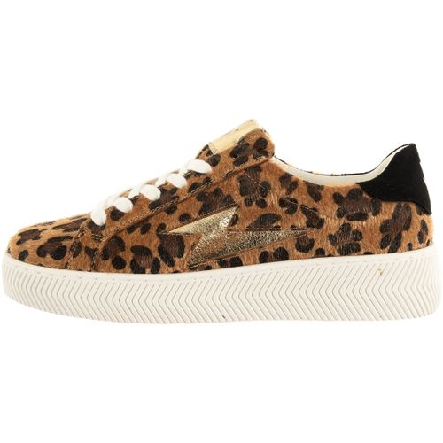 Baskets basses Vanessa Wu bk2810 - Vanessa Wu - Modalova