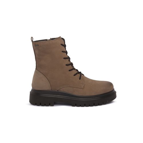 Bottines IgI&CO 8664033 - IgI&CO - Modalova