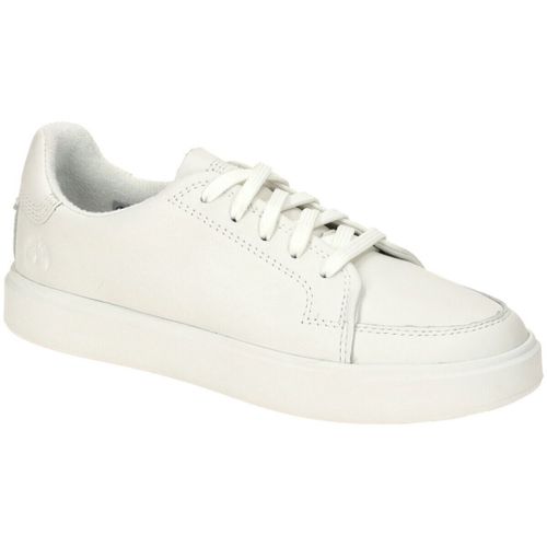 Baskets basses Timberland - Timberland - Modalova