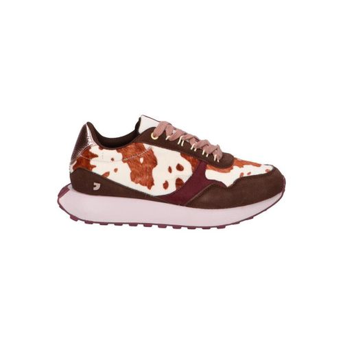 Baskets basses 77012-NORCROSS - Gioseppo - Modalova