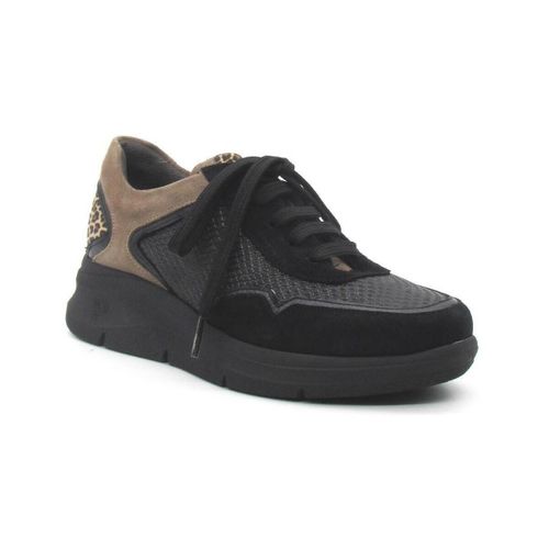 Baskets basses Pitillos 10913 - Pitillos - Modalova
