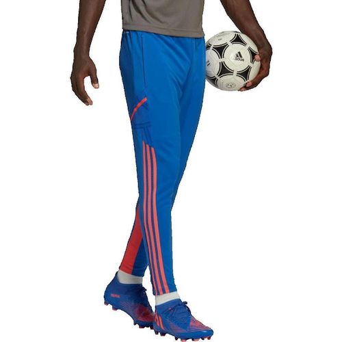 Pantalon Pantalon Condivo 22 Predator - adidas - Modalova