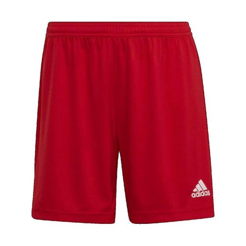 Short adidas Short Entrada 22 rouge - adidas - Modalova