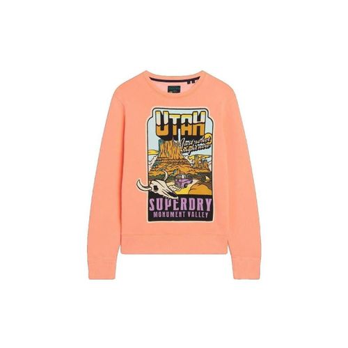 Sweatshirts Sweatshirt orange ample unisexe - Superdry - Modalova
