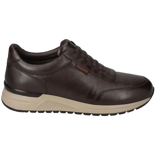 Baskets basses Valleverde VY955W - Valleverde - Modalova
