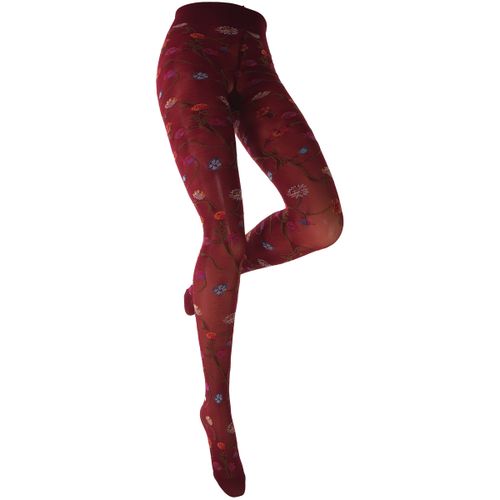 Collants & bas Collant 80 Denari Platino - Trasparenze - Modalova