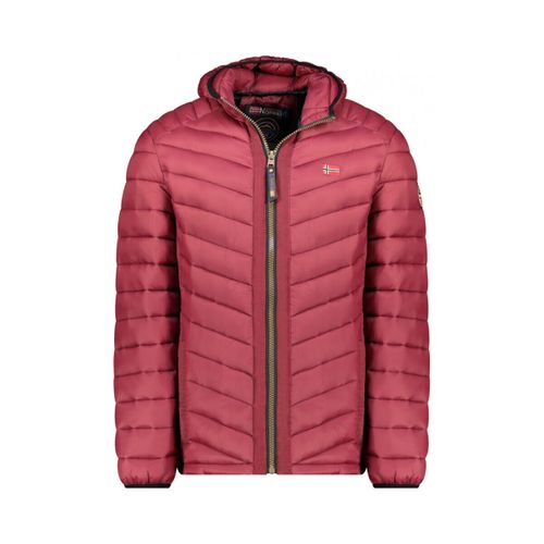 Doudounes Carliti hood doudoune - Geographical Norway - Modalova