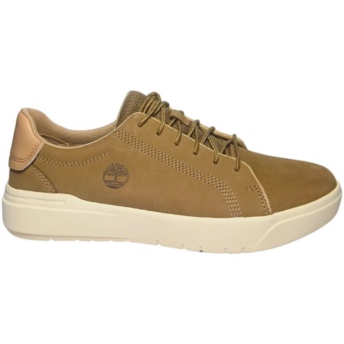 Baskets basses tboa_5ty5_dr0 - Timberland - Modalova