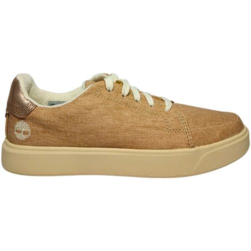 Baskets basses tb_0a41z8_er1 - Timberland - Modalova