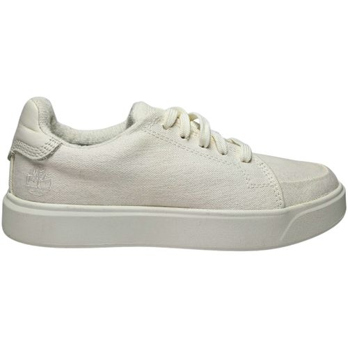 Baskets basses tb_0a41z8_et7 - Timberland - Modalova
