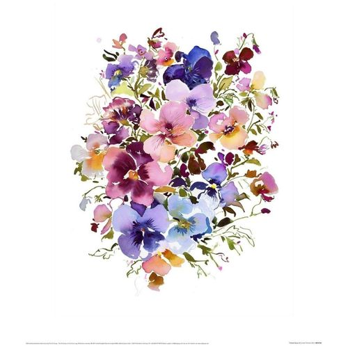 Affiches, posters 40 cm x 30 cm x 0,21 cm PM10405 - Summer Thornton - Modalova