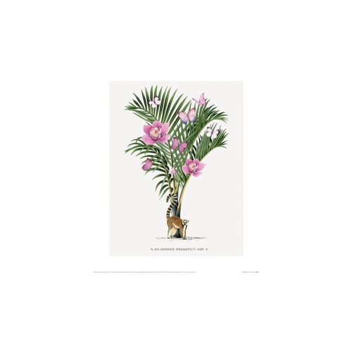 Affiches, posters 40 cm x 50 cm PM4604 - Summer Thornton - Modalova